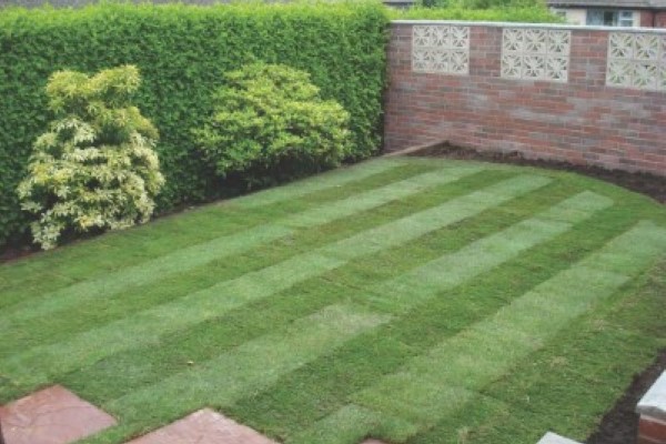 Laying Patio Slabbing in Bishop's Cleeve